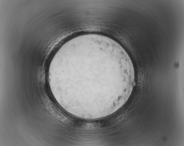 X0000116320584200912151244