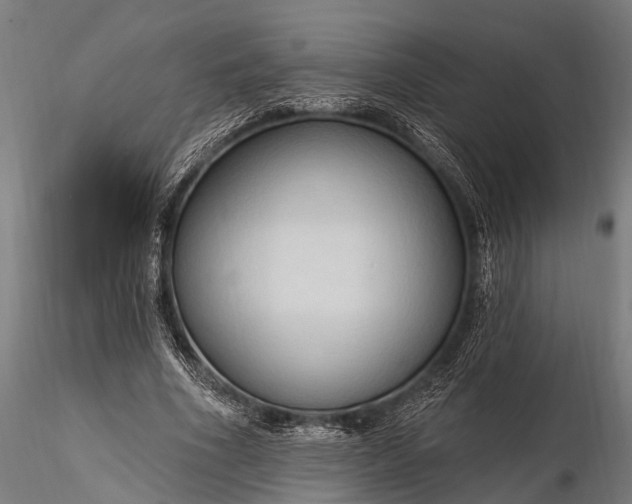 X0000116320586200912151244