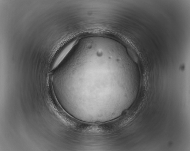 X0000116320589200912151244