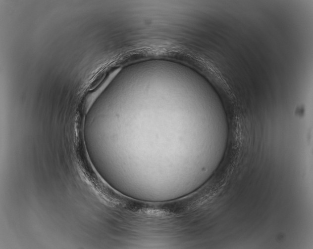 X0000116320590200912151244