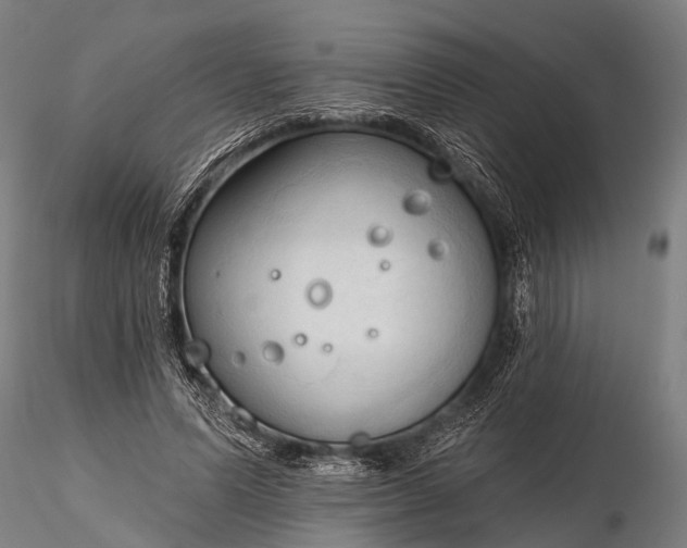 X0000116320591200912151244