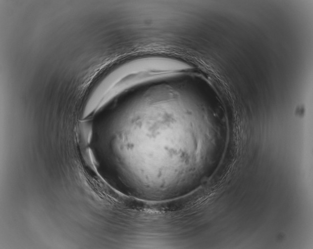 X0000116320592200912151244