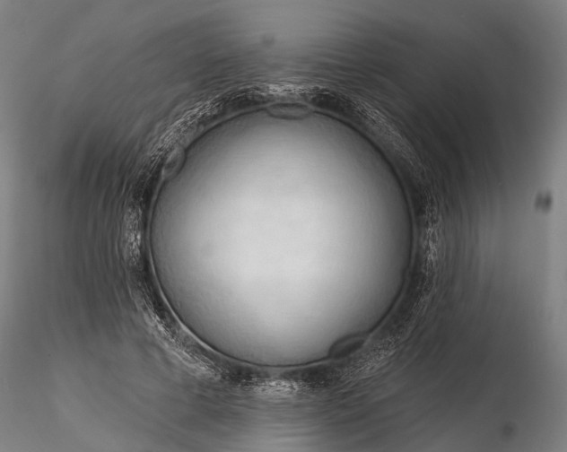 X0000116320593200912151244