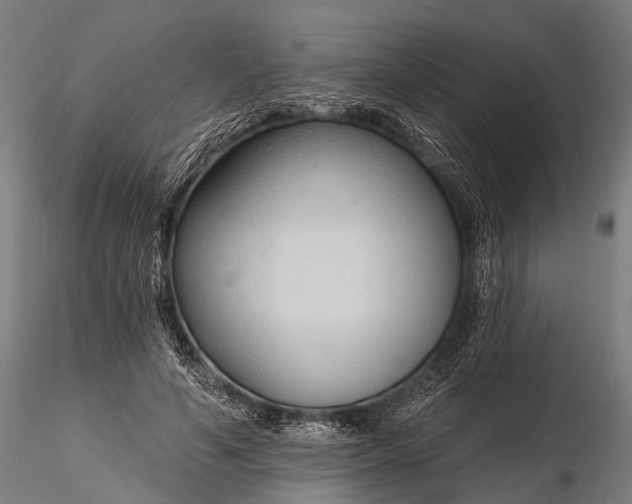 X0000116320594200912151244