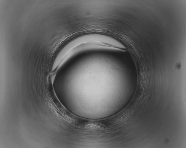 X0000116320596200912151244