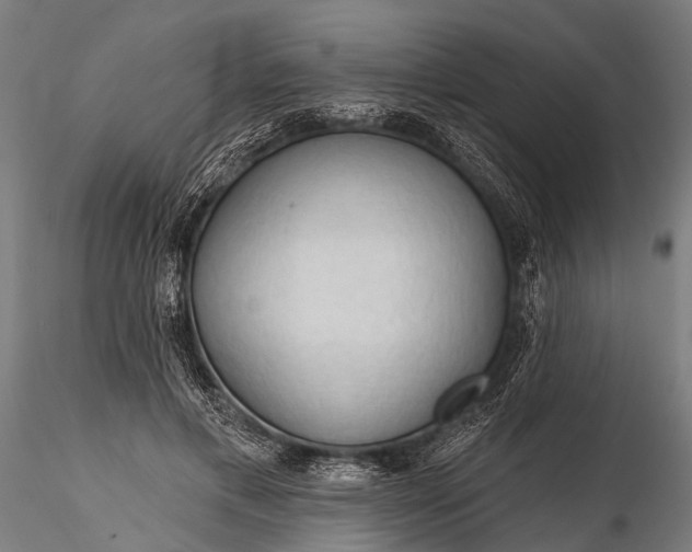 X0000116320597200912151244