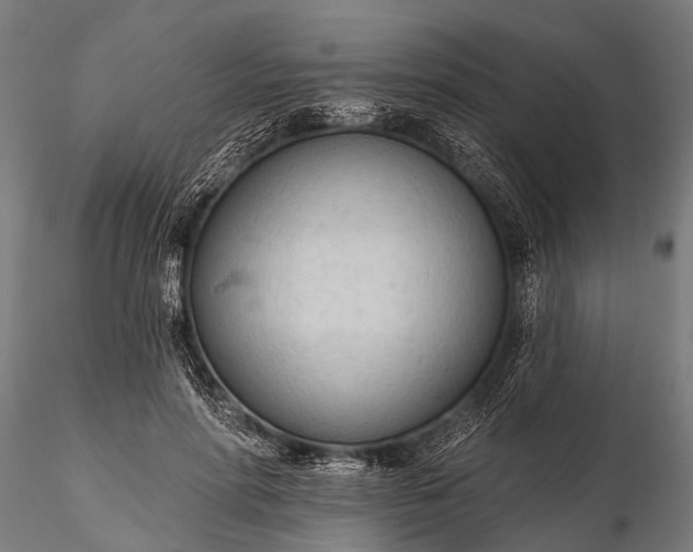 X0000116320598200912151244