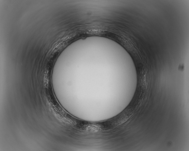 X0000116320599200912151244