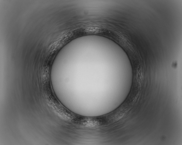 X0000116320601200912151244