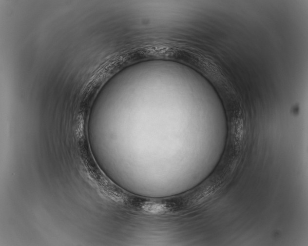 X0000116320602200912151244