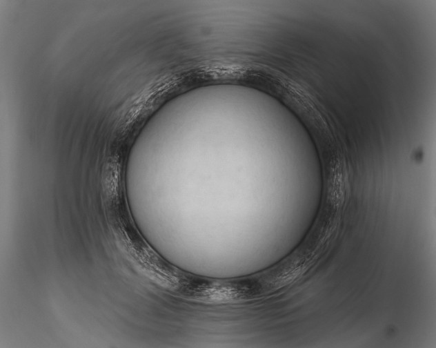 X0000116320604200912151244