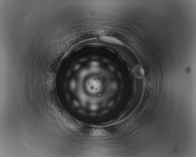 X0000116320605200912151244