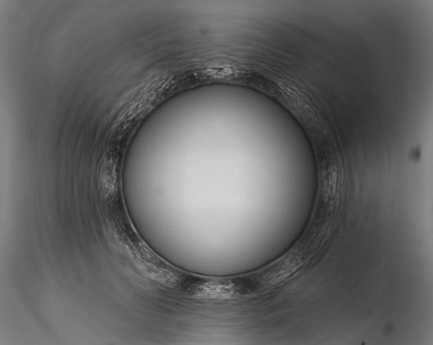 X0000116320606200912151244