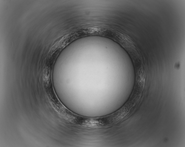 X0000116320607200912151244