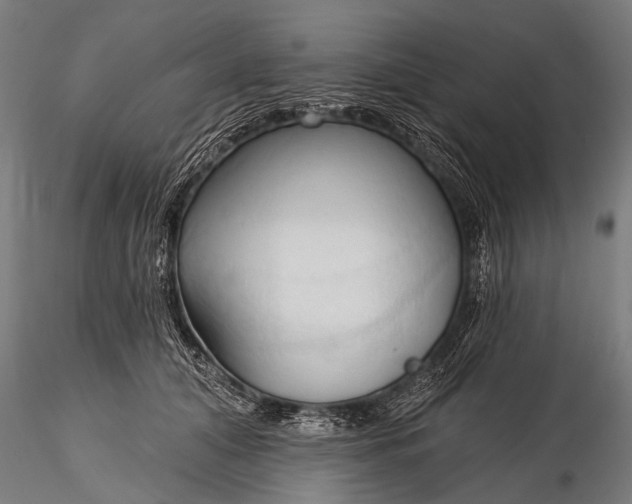 X0000116320608200912151244