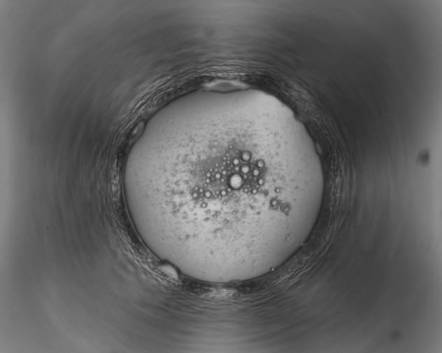 X0000116320609200912151244