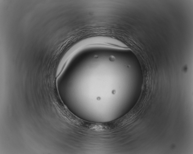 X0000116320611200912151244