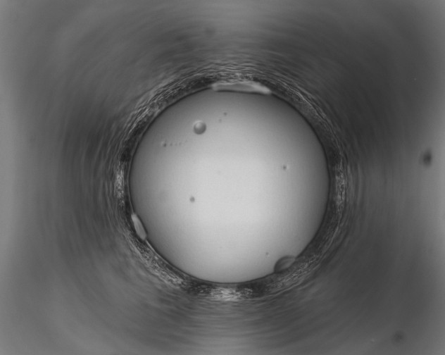 X0000116320613200912151244