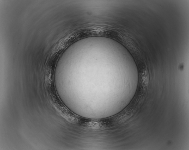 X0000116320615200912151244