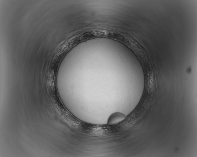 X0000116320616200912151244