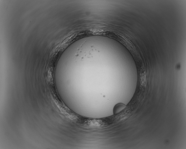 X0000116320618200912151244