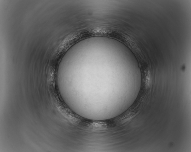 X0000116320619200912151244