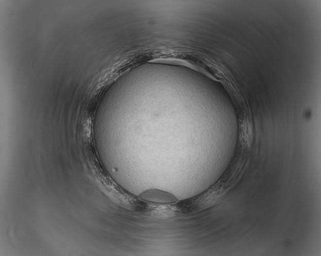 X0000116320621200912151244