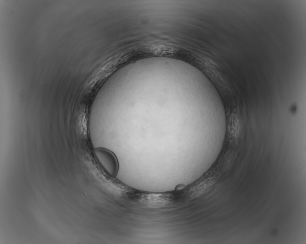 X0000116320622200912151244