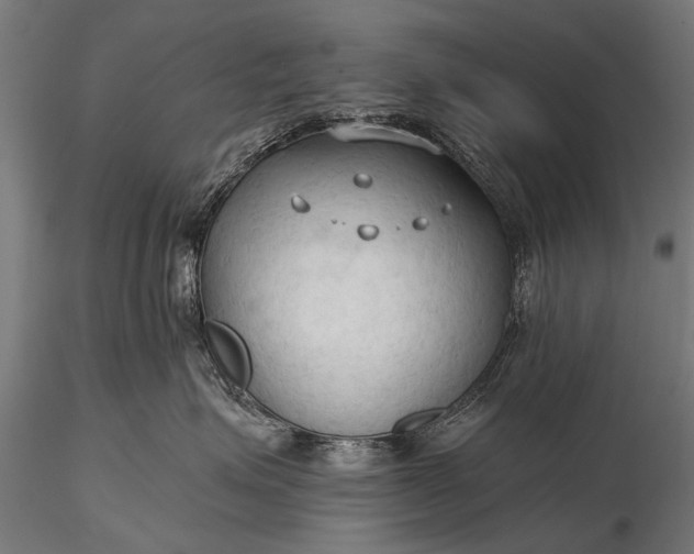 X0000116320623200912151244