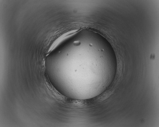 X0000116320624200912151244