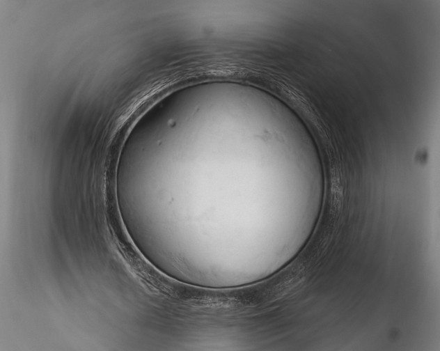 X0000116320626200912151243