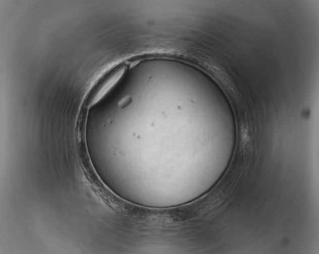 X0000116320628200912151243