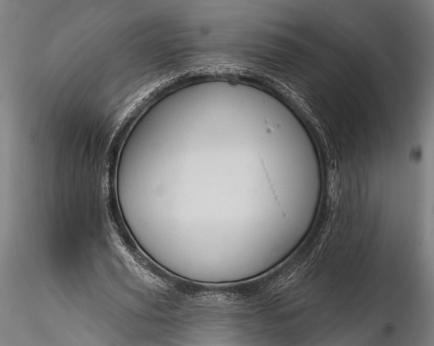 X0000116320629200912151243