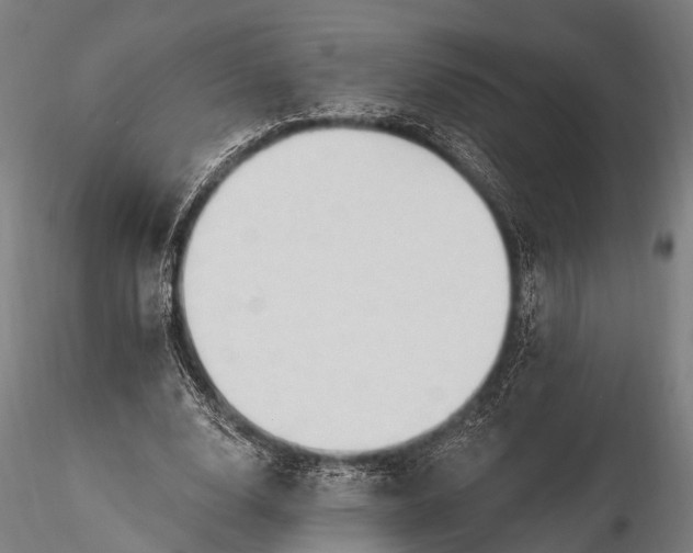 X0000116320632200912151243