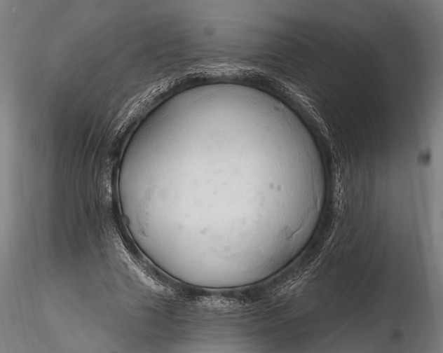 X0000116320633200912151243