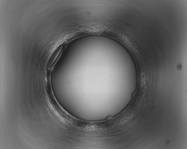 X0000116320634200912151243