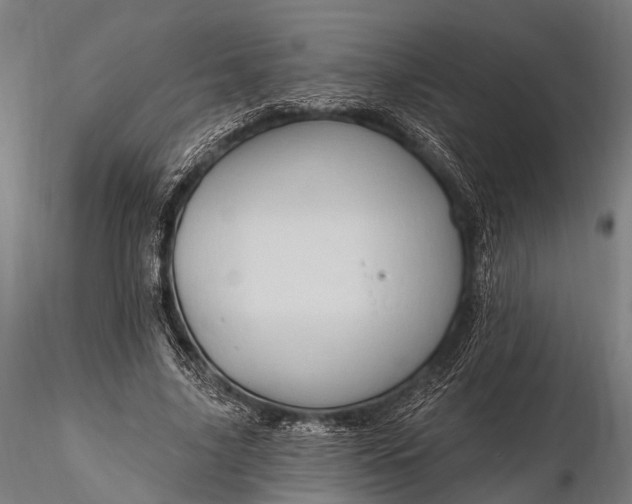 X0000116320635200912151243