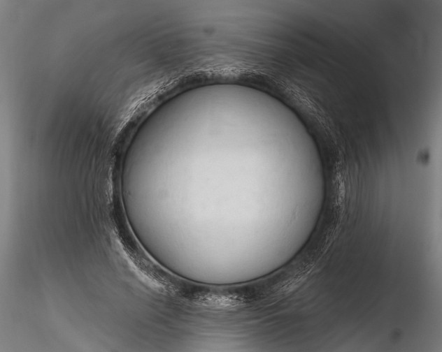 X0000116320638200912151243