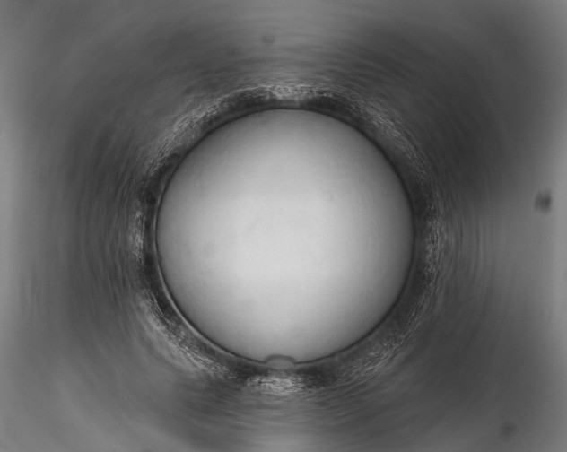 X0000116320639200912151243