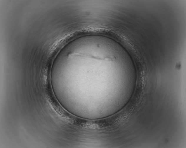 X0000116320640200912151243