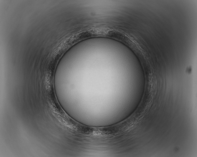 X0000116320641200912151243