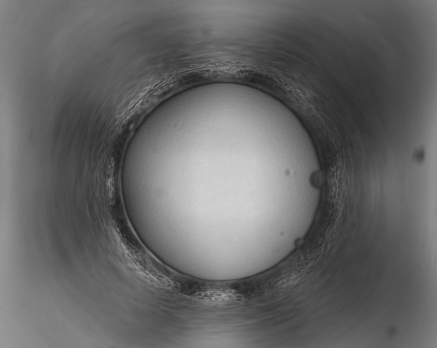 X0000116320642200912151243