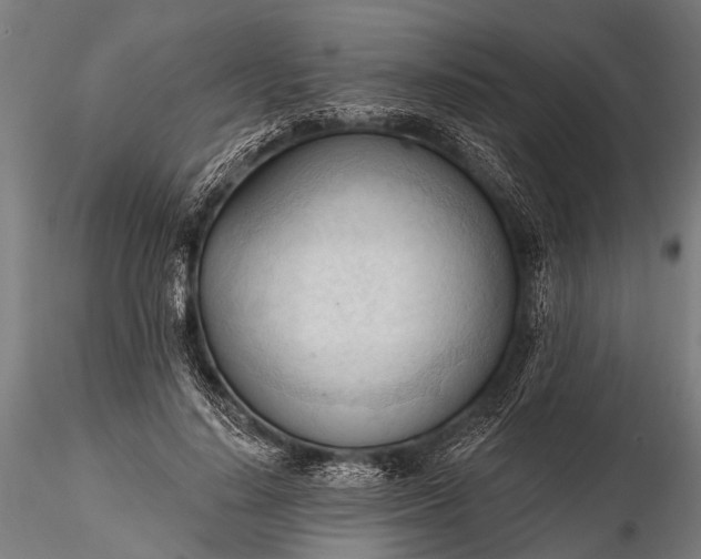 X0000116320644200912151243