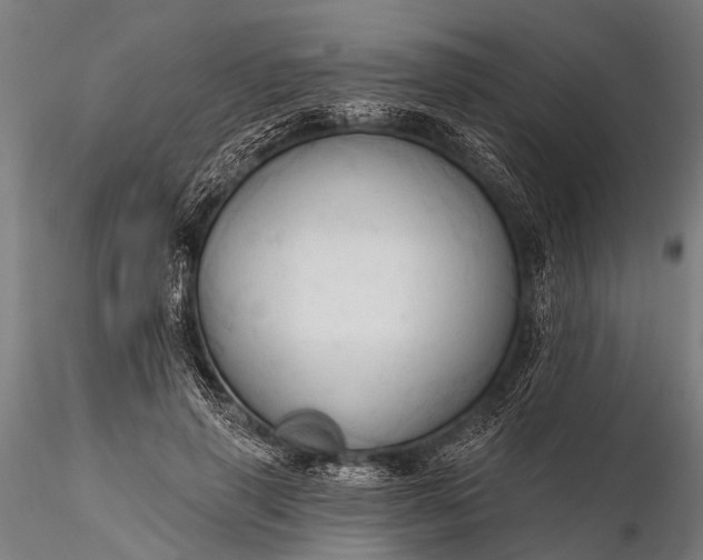 X0000116320645200912151243