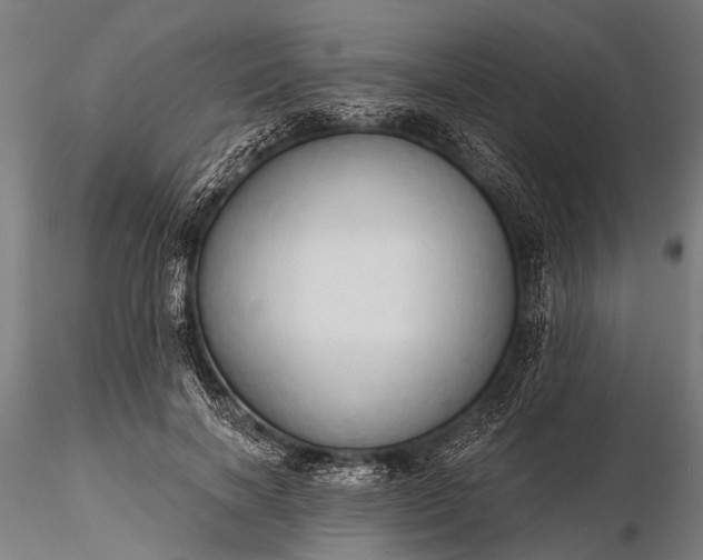 X0000116320646200912151243