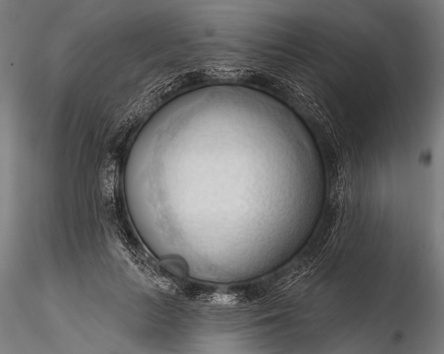 X0000116320647200912151243