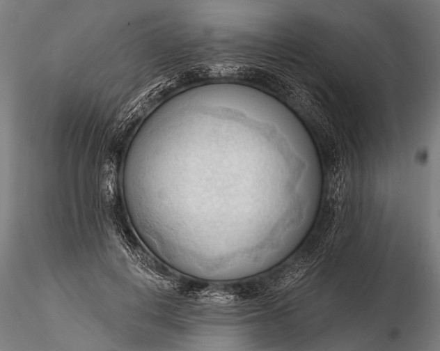 X0000116320648200912151243