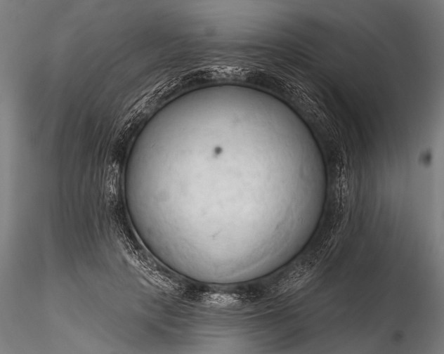 X0000116320649200912151243