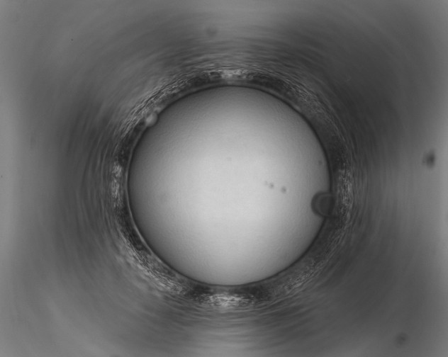 X0000116320650200912151243