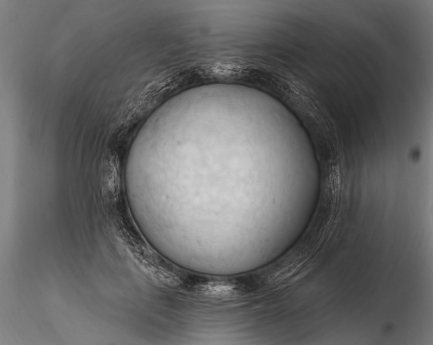 X0000116320651200912151243